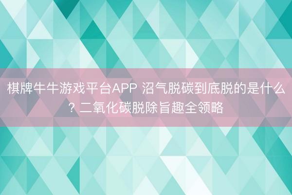 棋牌牛牛游戏平台APP 沼气脱碳到底脱的是什么? 二氧化碳脱除旨趣全领略
