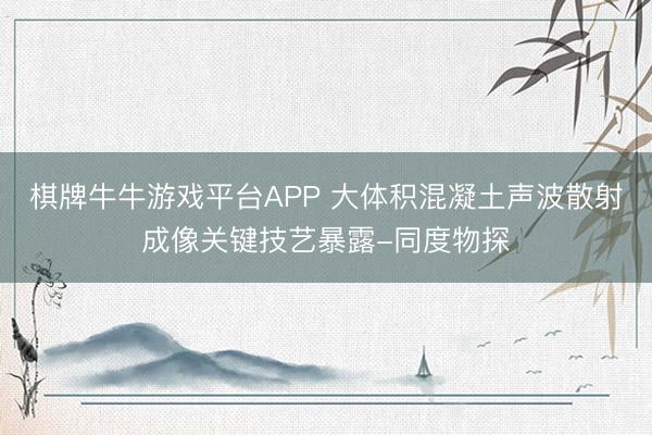 棋牌牛牛游戏平台APP 大体积混凝土声波散射成像关键技艺暴露-同度物探