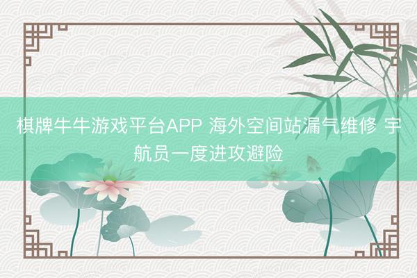 棋牌牛牛游戏平台APP 海外空间站漏气维修 宇航员一度进攻避险