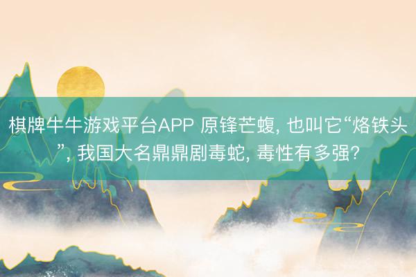 棋牌牛牛游戏平台APP 原锋芒蝮， 也叫它“烙铁头”， 我国大名鼎鼎剧毒蛇， 毒性有多强?