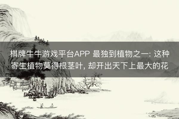 棋牌牛牛游戏平台APP 最独到植物之一: 这种寄生植物莫得根茎叶， 却开出天下上最大的花