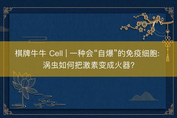 棋牌牛牛 Cell | 一种会“自爆”的免疫细胞: 涡虫如何把激素变成火器?