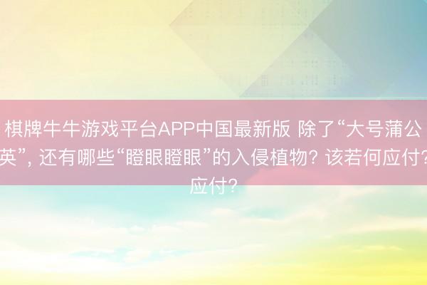 棋牌牛牛游戏平台APP中国最新版 除了“大号蒲公英”， 还有哪些“瞪眼瞪眼”的入侵植物? 该若何应付?